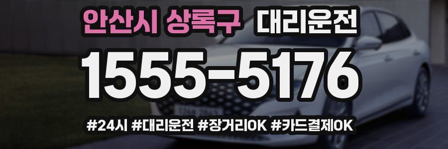 안산시 상록구 대리운전