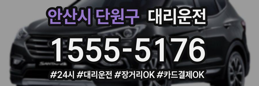 안산시 단원구 대리운전