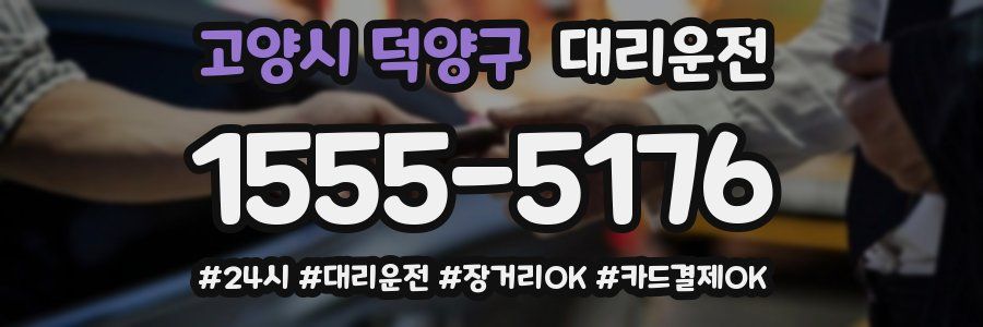고양시 덕양구 대리운전
