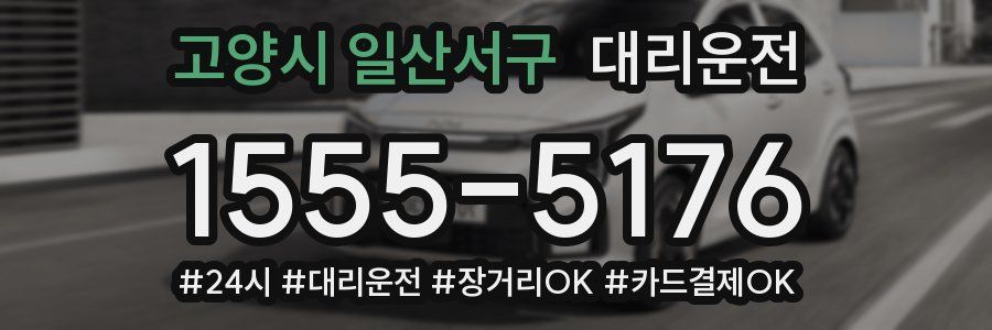 고양시 일산서구 대리운전