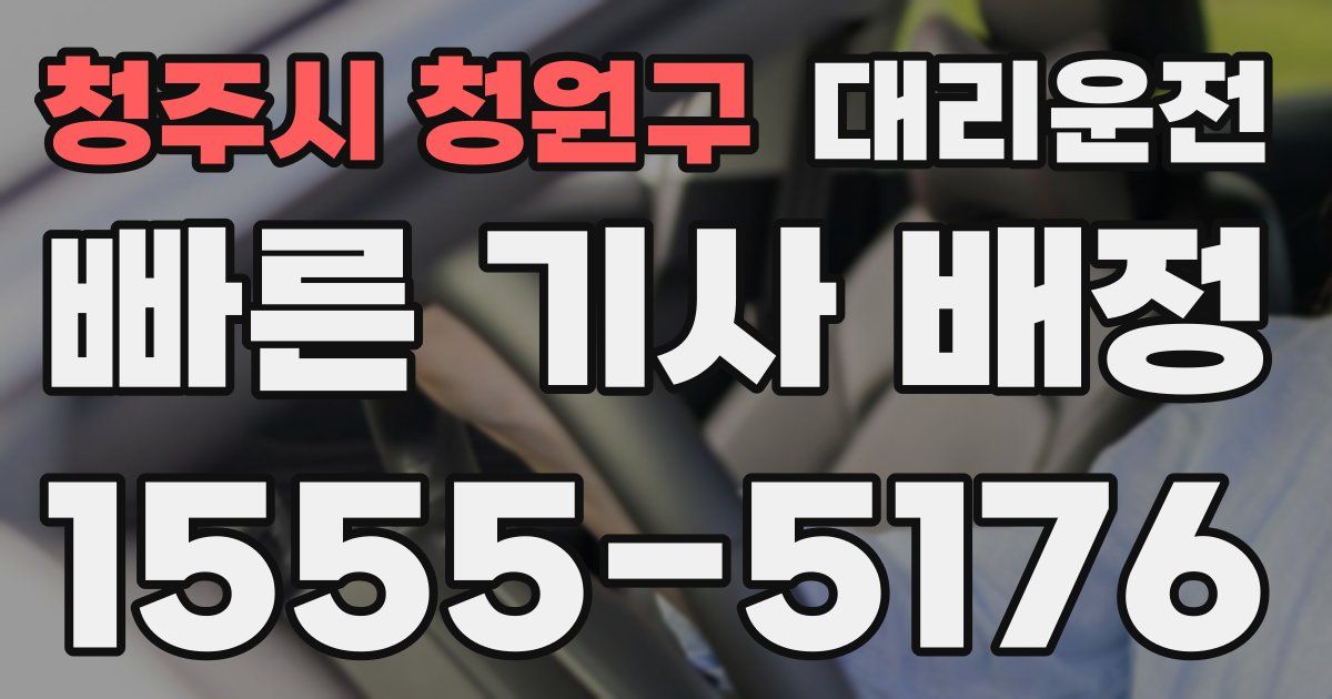 일일대리기사