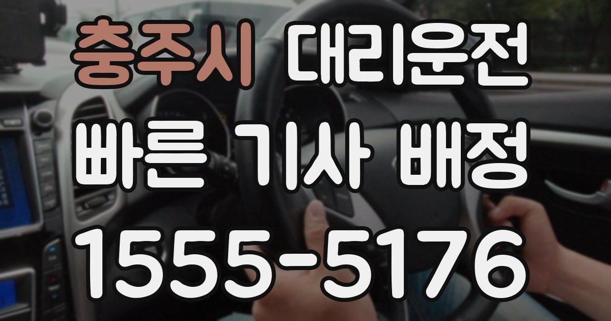 일일대리기사
