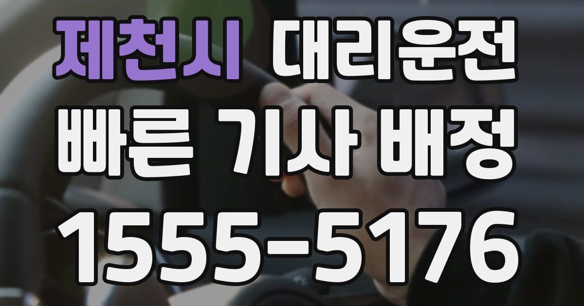 일일대리기사