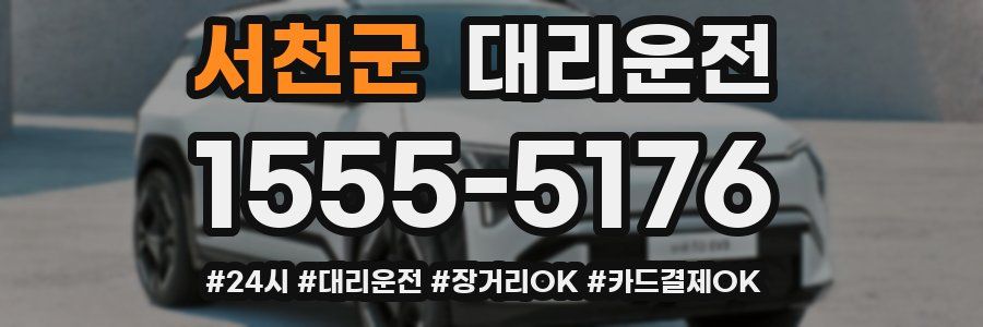 서천군 대리운전