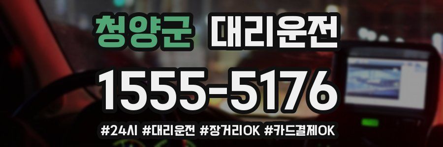 청양군 대리운전