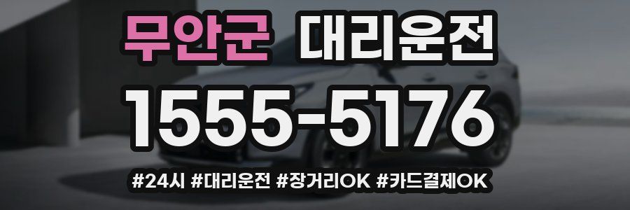 무안군 대리운전