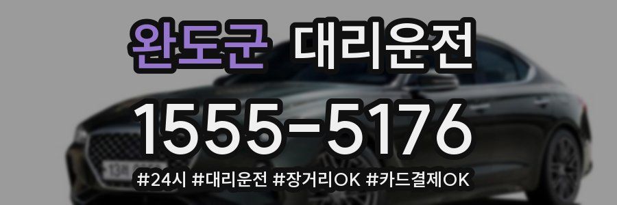 완도군 대리운전