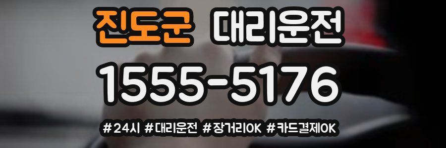 진도군 대리운전