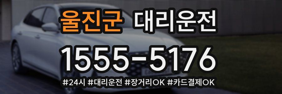 울진군 대리운전