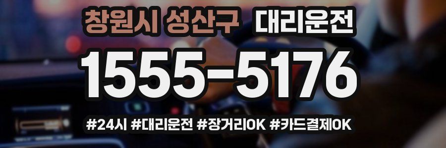 창원시 성산구 대리운전