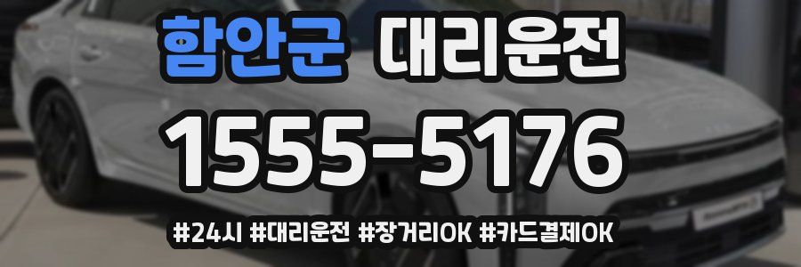 함안군 대리운전