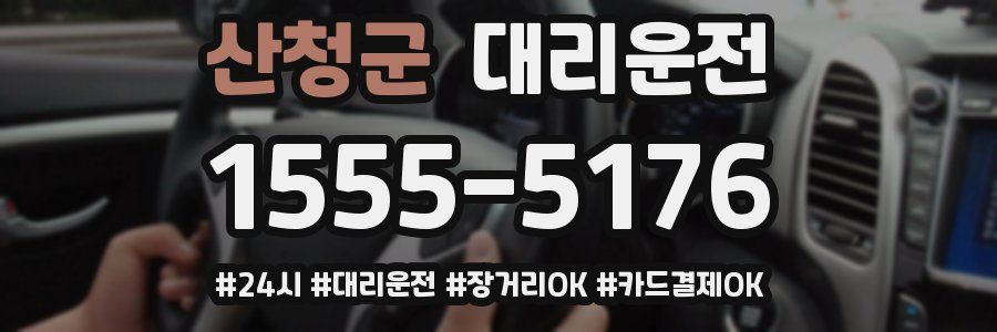 산청군 대리운전