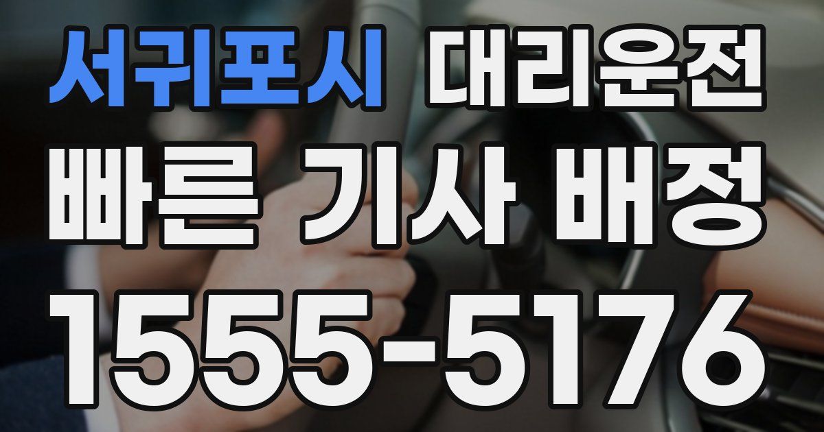 일일대리기사