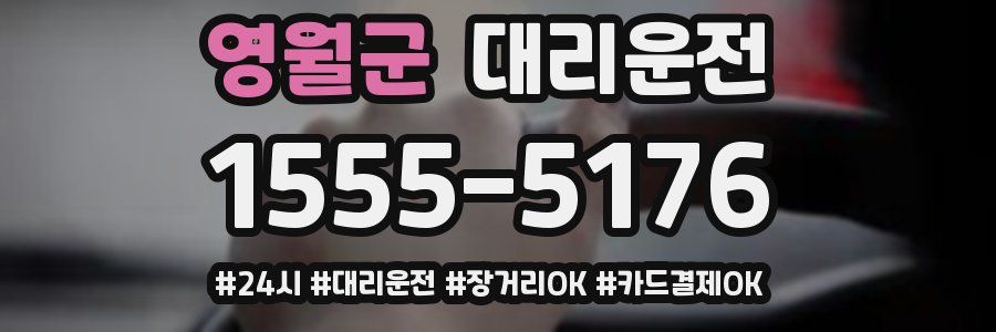 영월군 대리운전