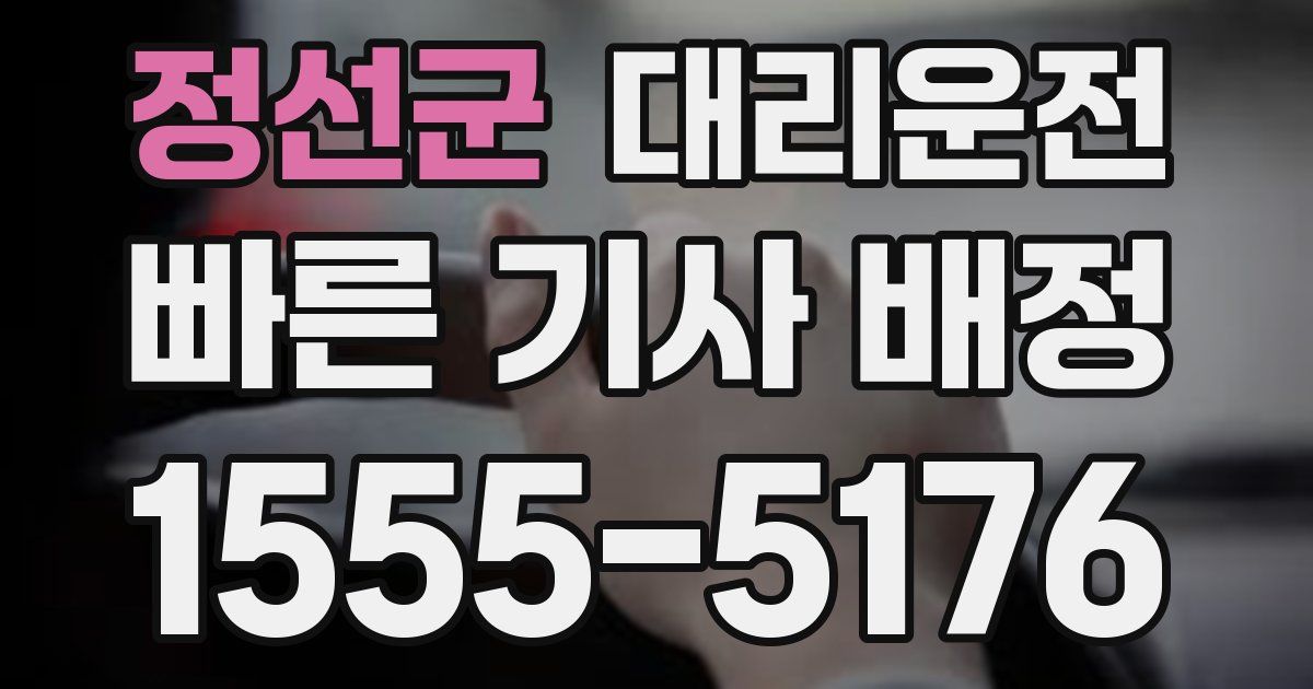 일일대리기사