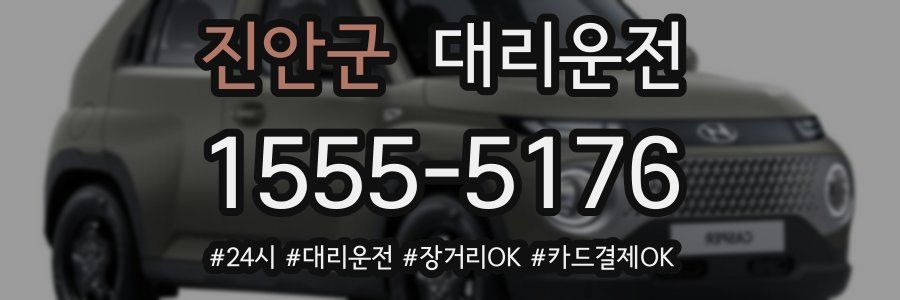 진안군 대리운전