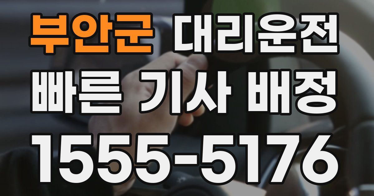 일일대리기사