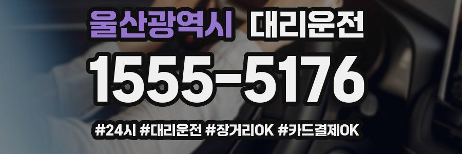 울산광역시 대리운전