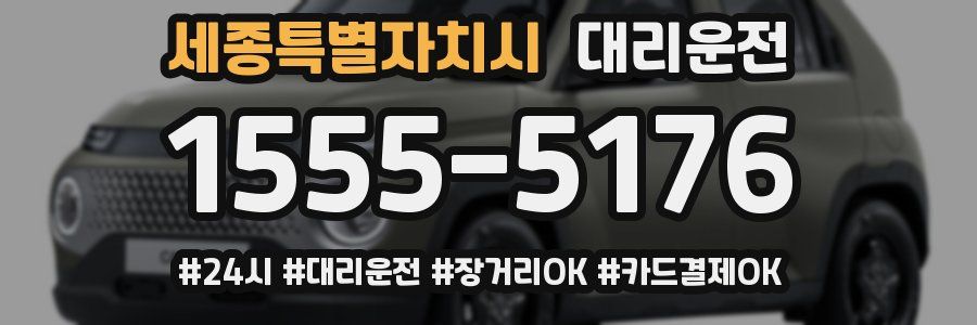 세종특별자치시 대리운전
