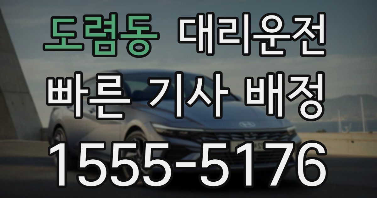일일대리기사