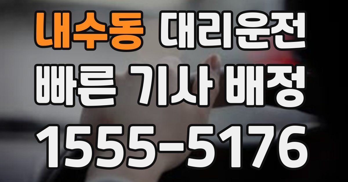 일일대리기사