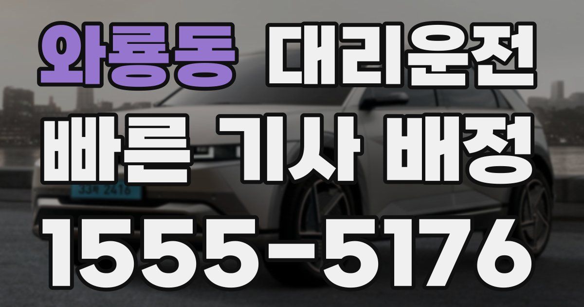 일일대리기사