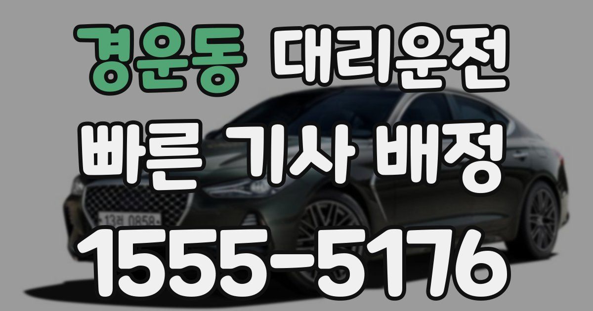 일일대리기사
