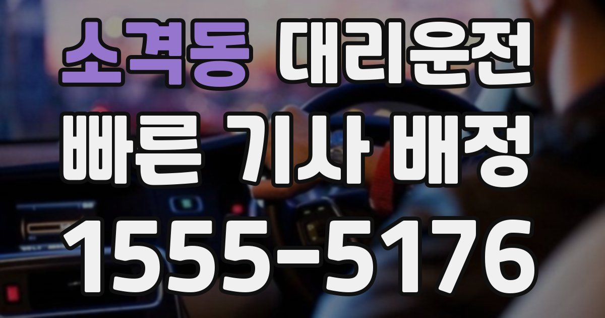 일일대리기사
