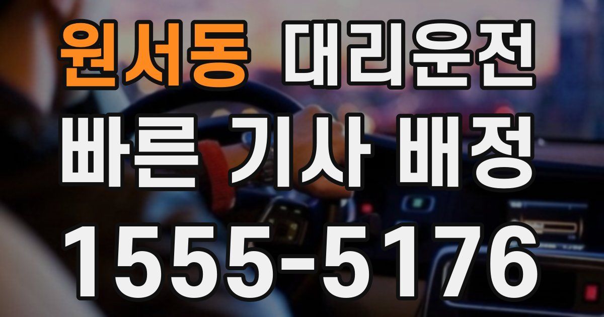 일일대리기사