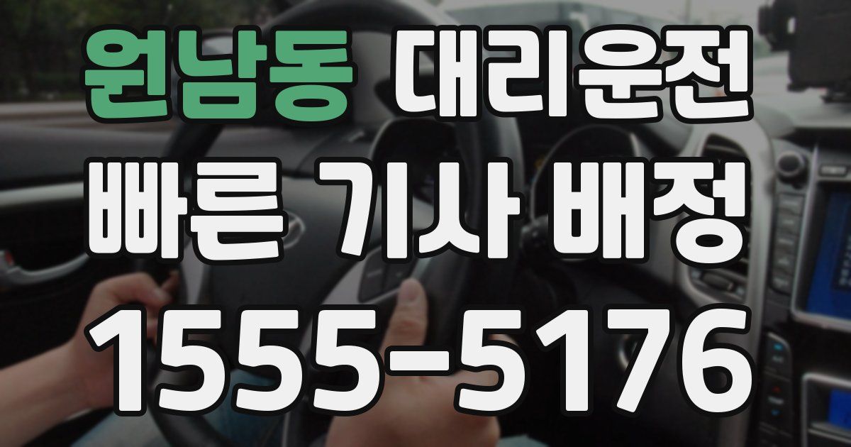 일일대리기사