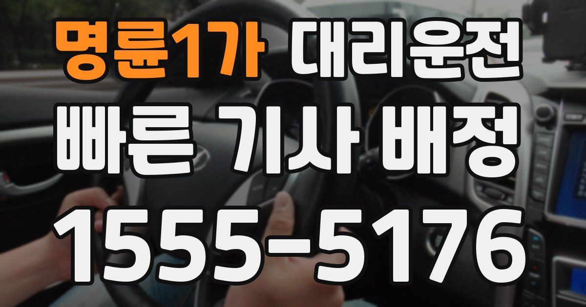 일일대리기사