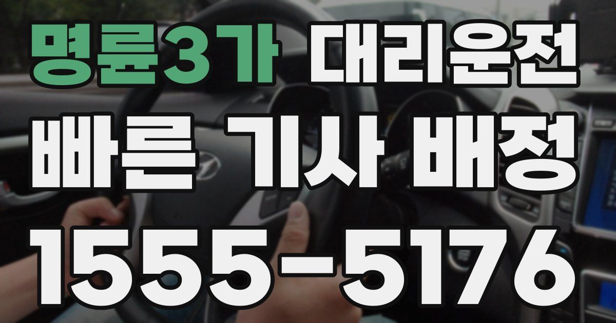 일일대리기사
