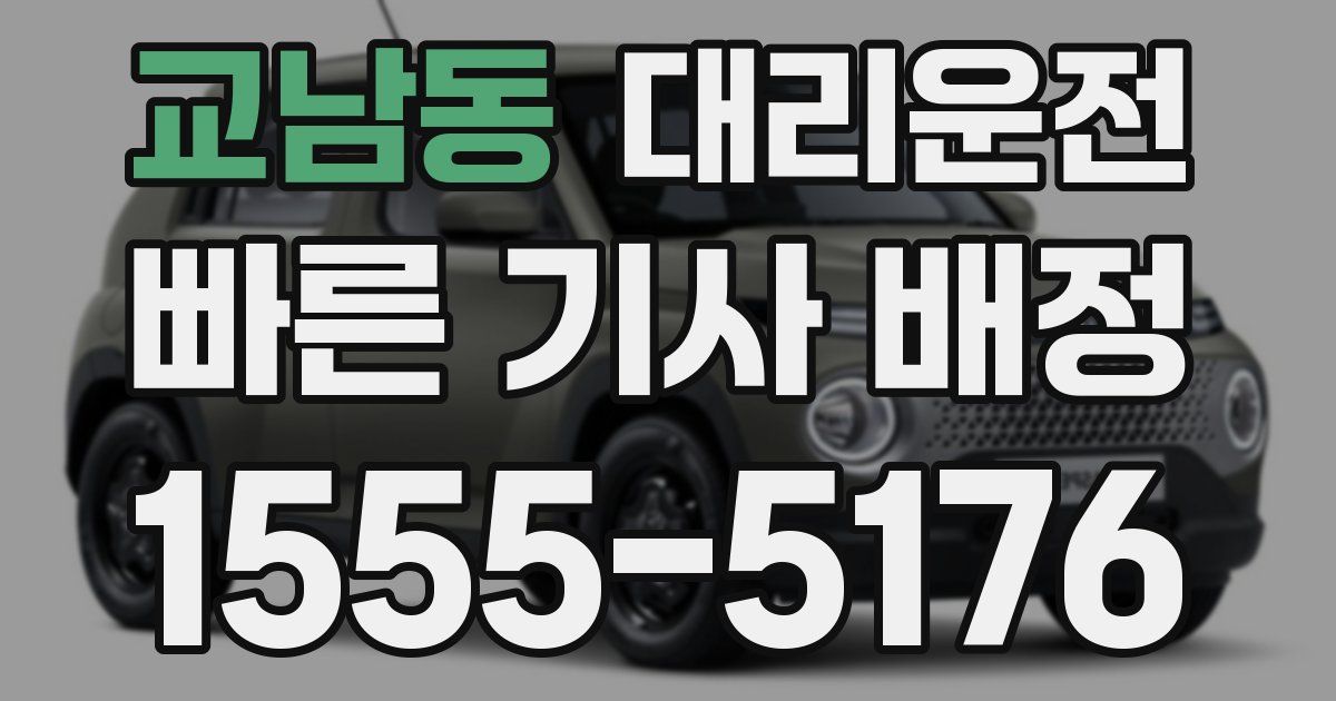 일일대리기사