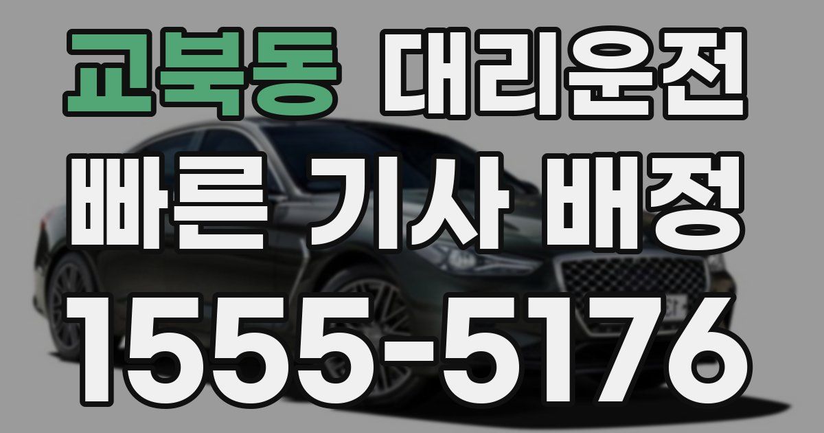 일일대리기사