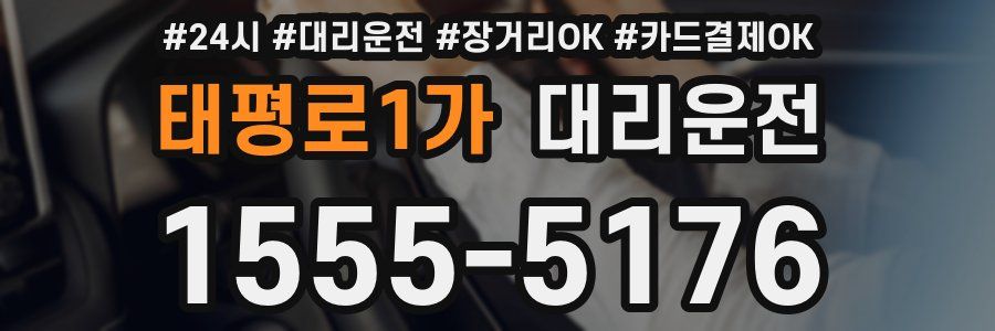 태평로1가 대리운전