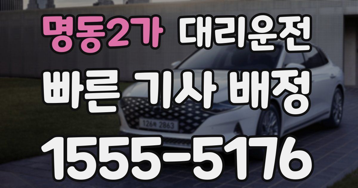 일일대리기사