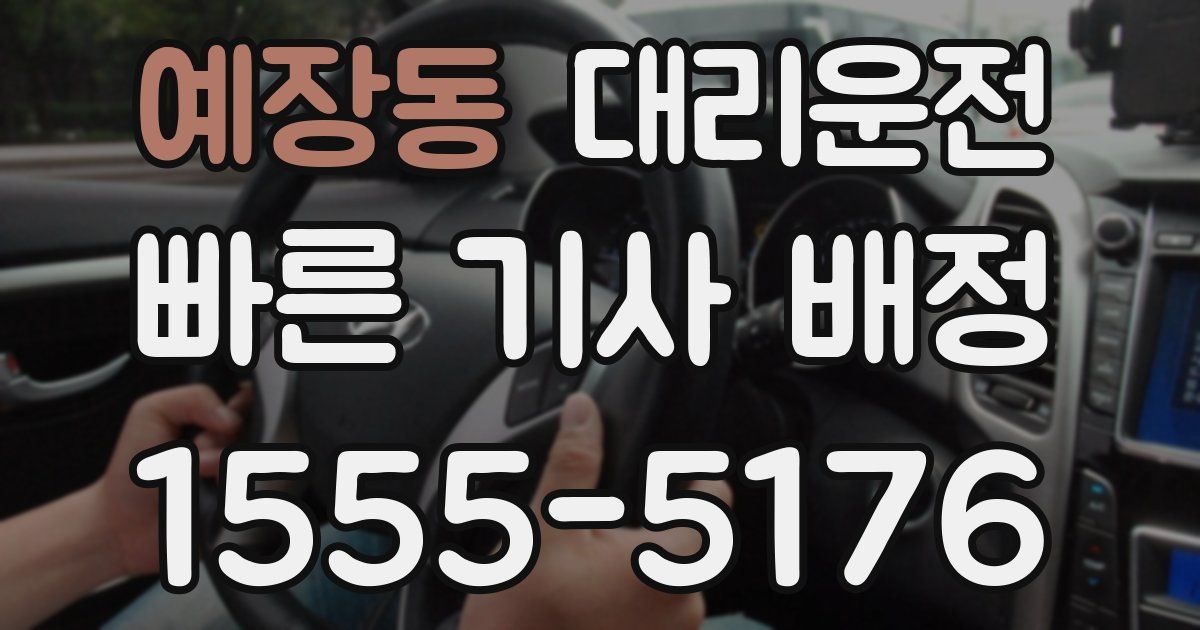 일일대리기사