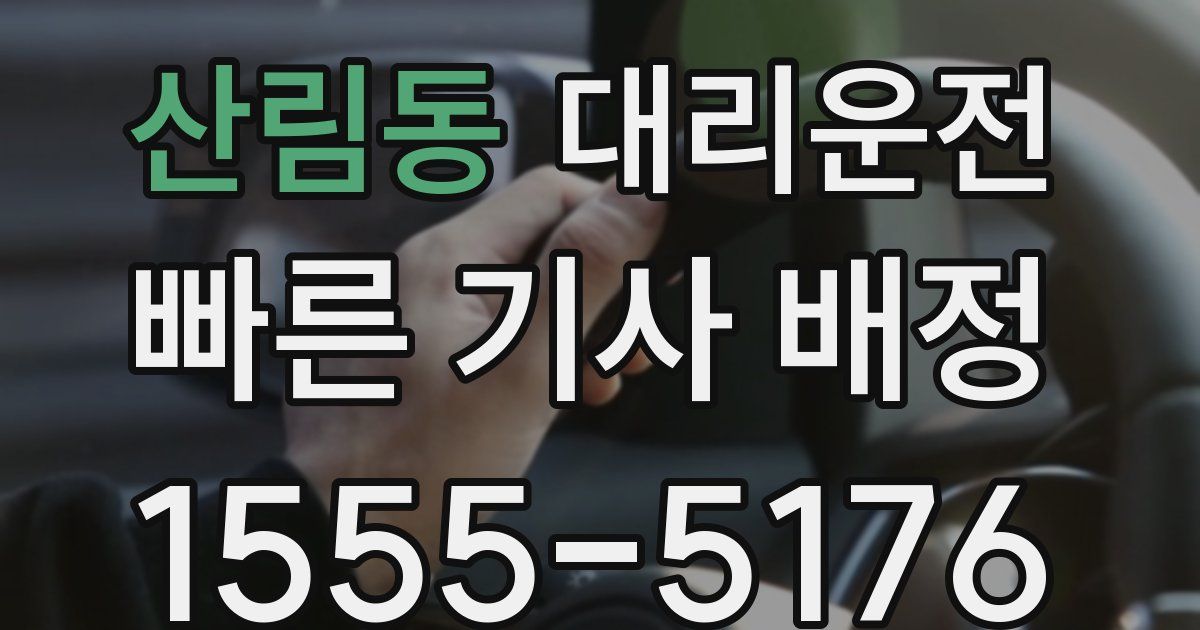 일일대리기사