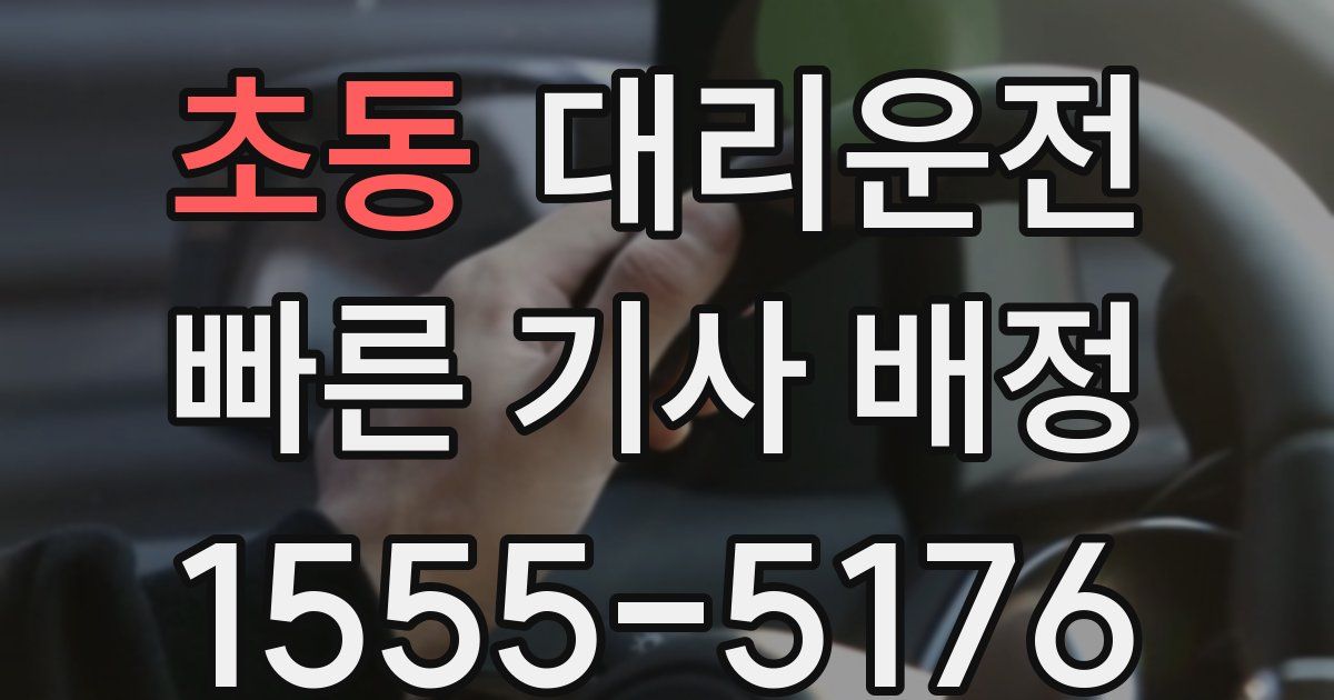 일일대리기사