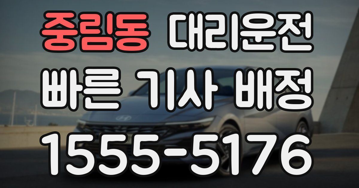 일일대리기사
