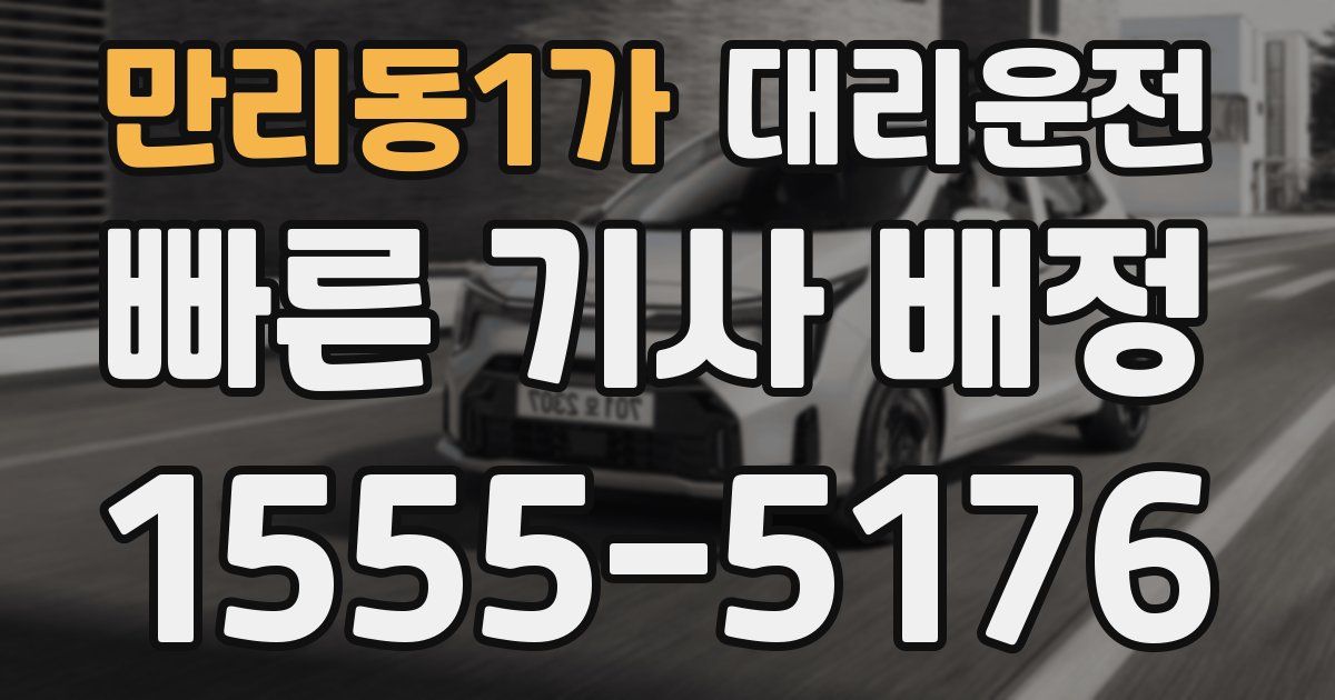 일일대리기사