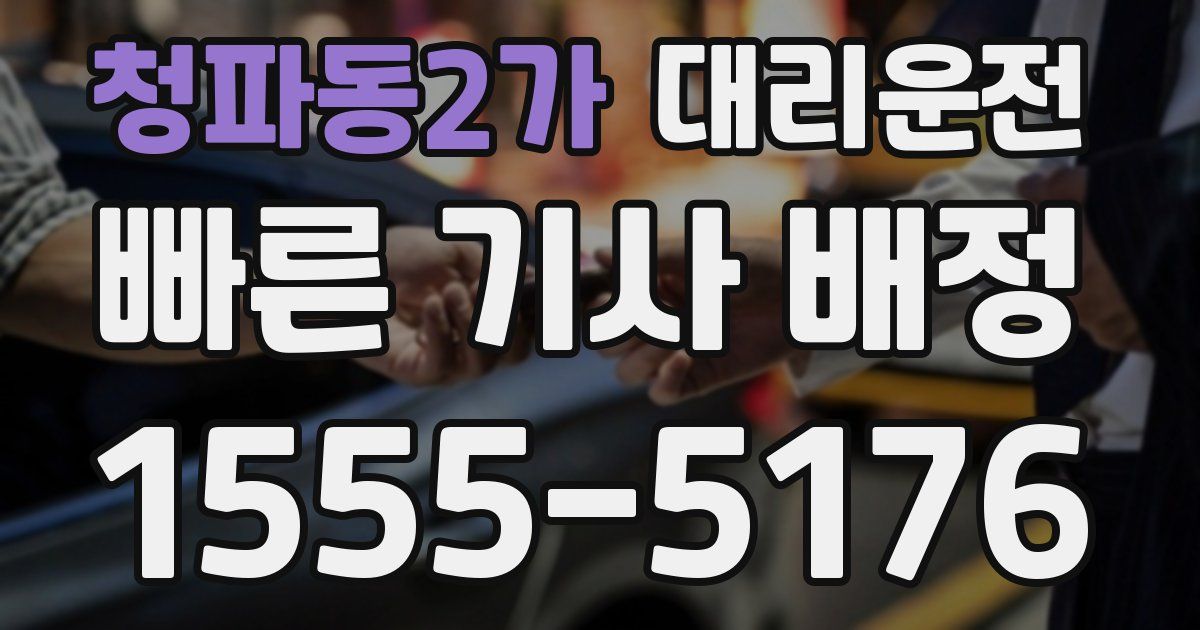 일일대리기사