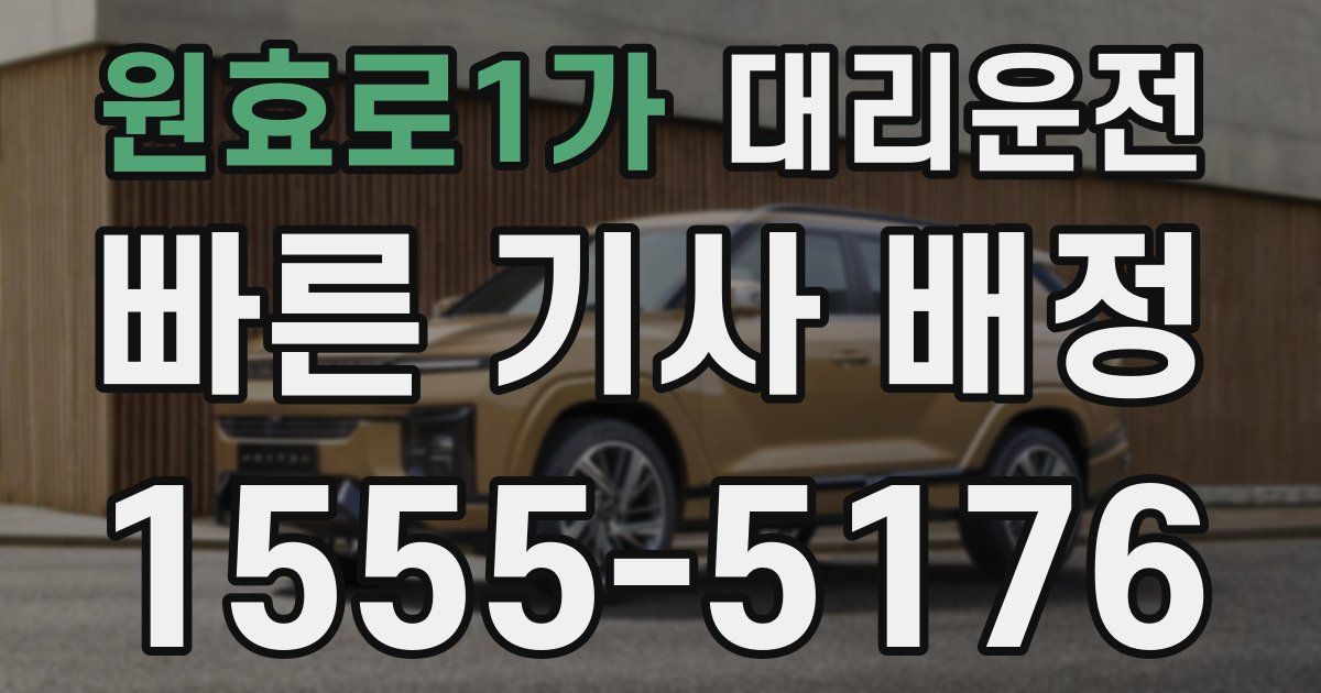 일일대리기사