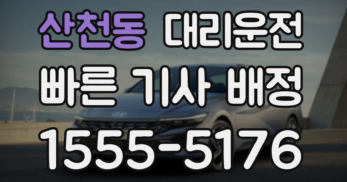 일일대리기사