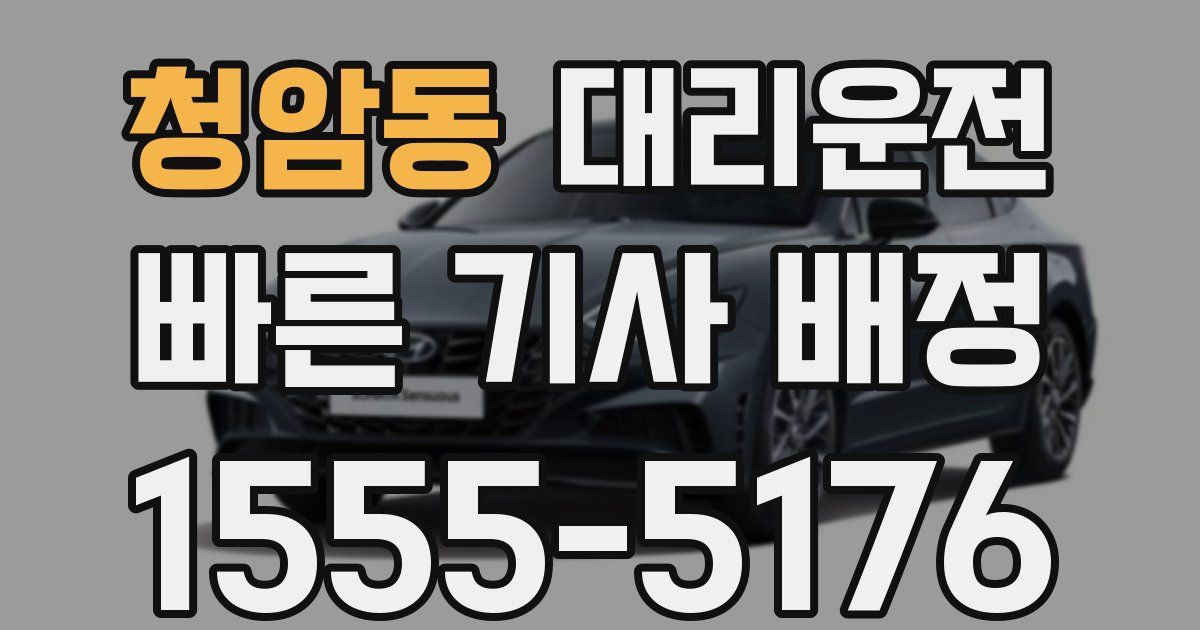 일일대리기사