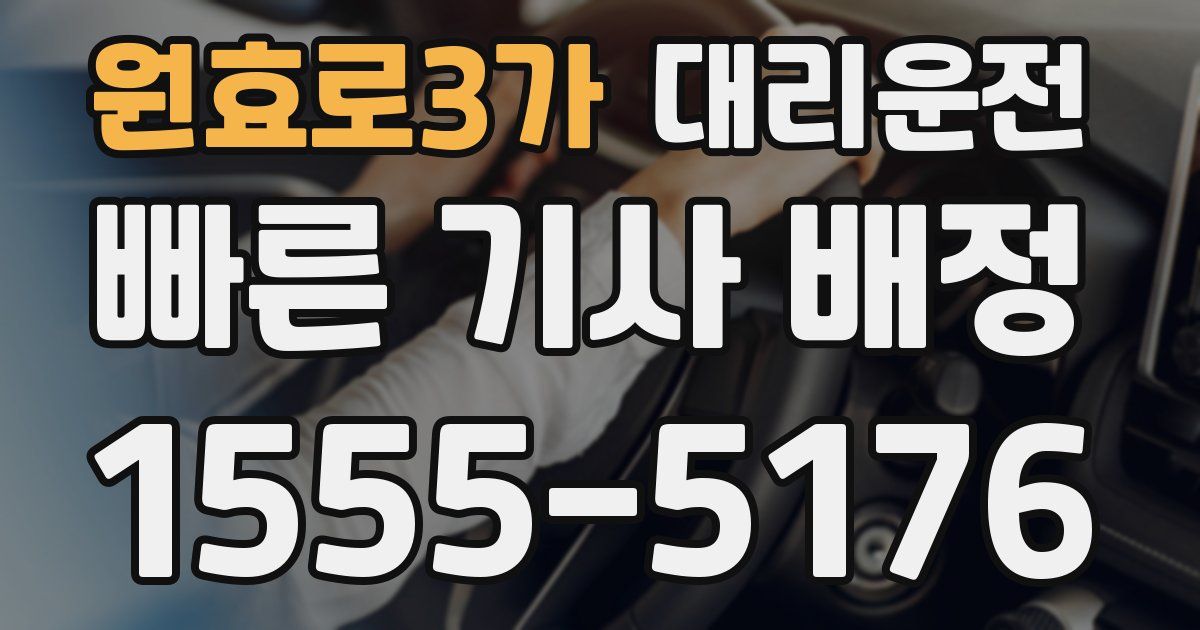 일일대리기사