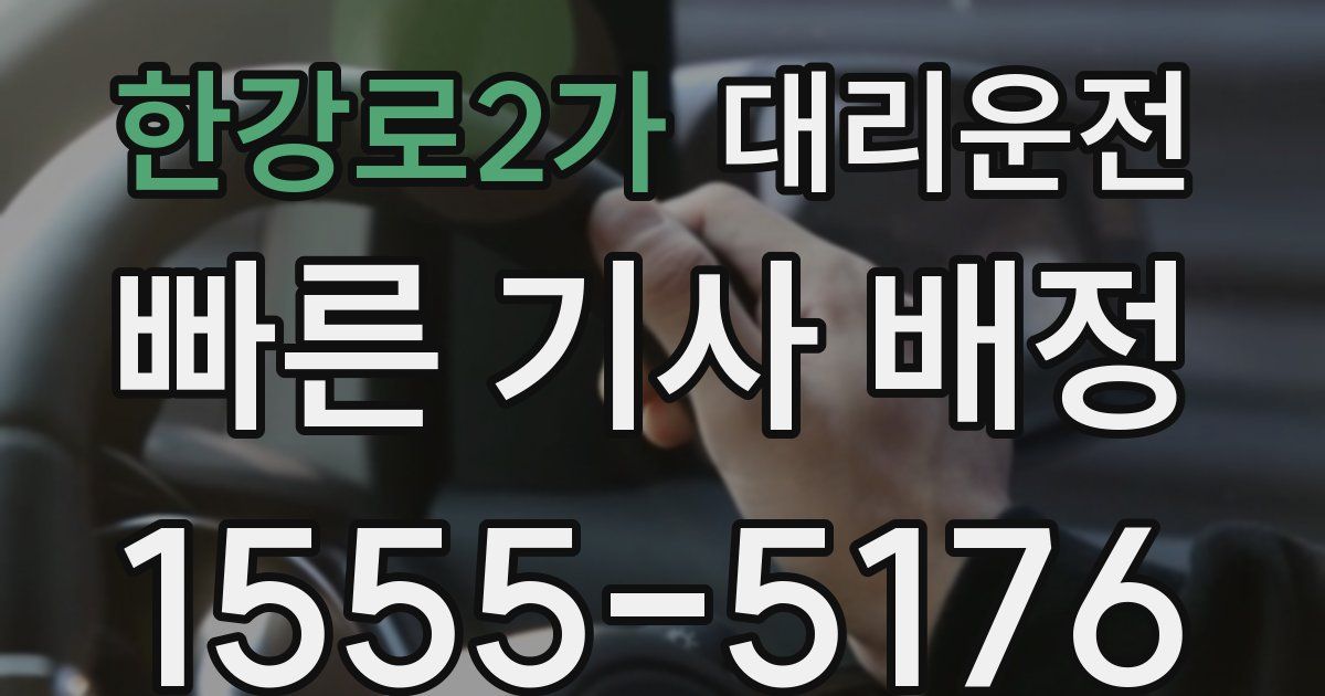 일일대리기사