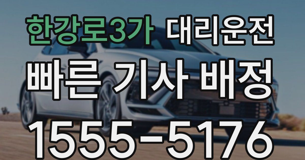 일일대리기사