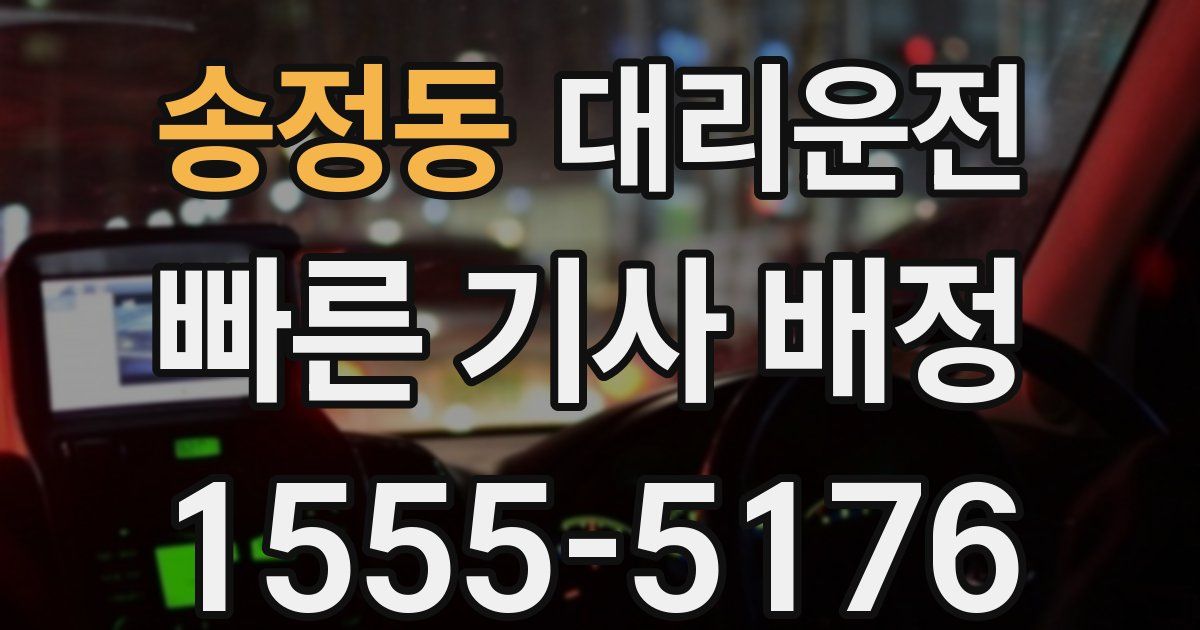 일일대리기사