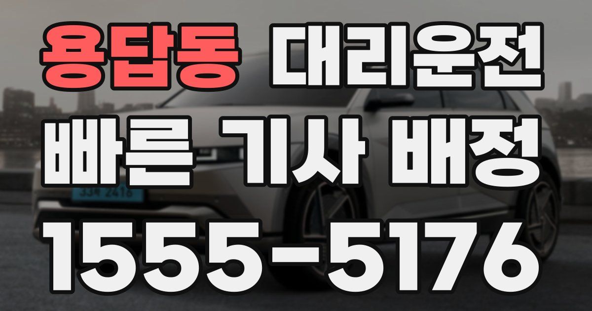 일일대리기사